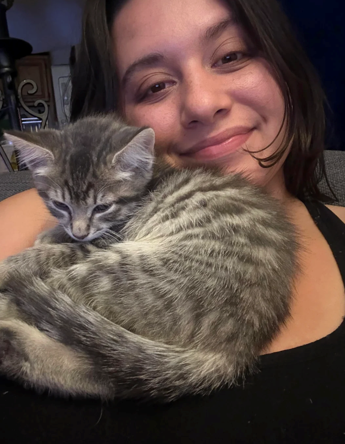 Cheezburger Image 10622643200