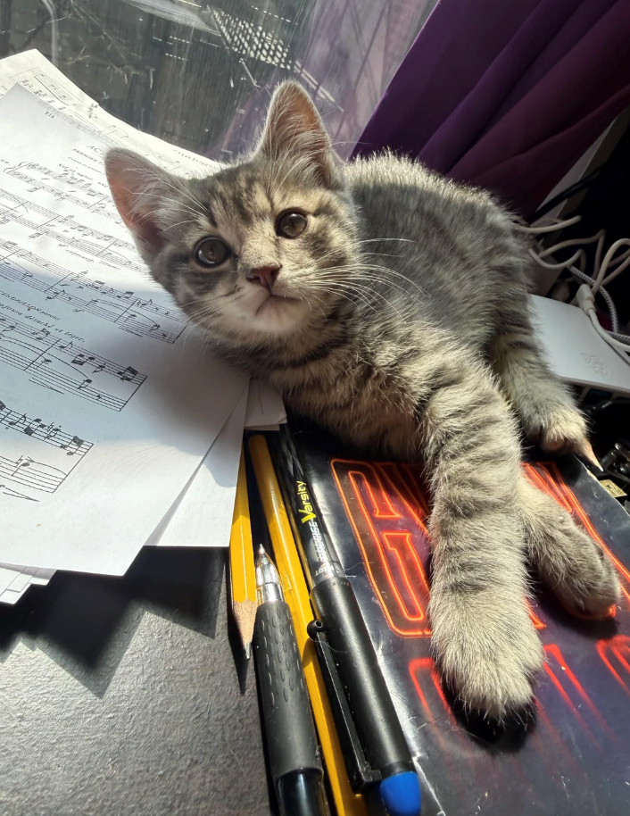 four decké et téger ৬ GISE Varsity AC