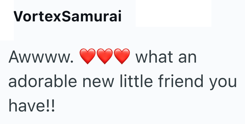 VortexSamurai Awwww. what an adorable new little friend you have!!