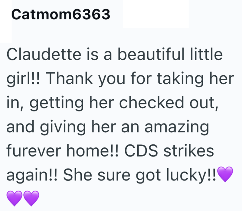 Catmom6363 Claudette is a beautiful little girl!! Thank you for taking her in, getting her checked out, and giving her an amazing furever home!! CDS strikes again!! She sure got lucky!!
