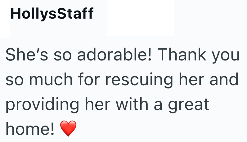 HollysStaff She's so adorable! Thank you so much for rescuing her and providing her with a great home!