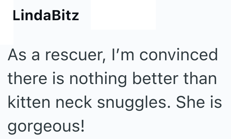 LindaBitz As a rescuer, I'm convinced there is nothing better than kitten neck snuggles. She is gorgeous!