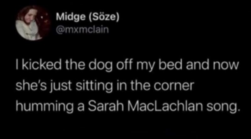 Midge (Söze) @mxmclain I kicked the dog off my bed and now she's just sitting in the corner humming a Sarah MacLachlan song.