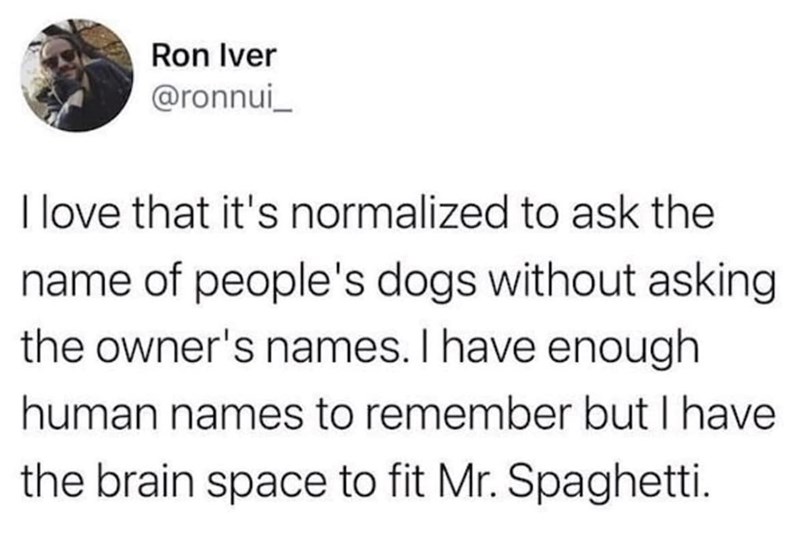 Ron Iver @ronnui I love that it's normalized to ask the name of people's dogs without asking the owner's names. I have enough human names to remember but I have the brain space to fit Mr. Spaghetti.