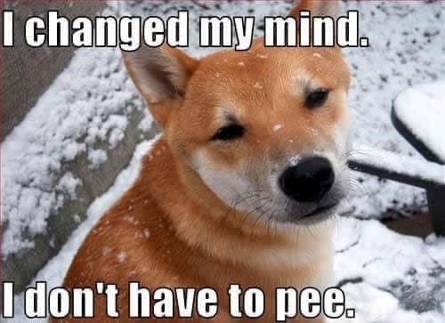 I changed my mind. I don't have to pee.