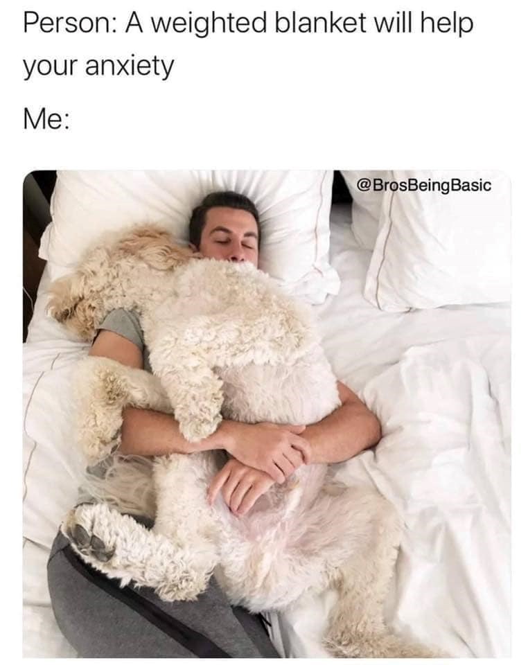 Person: A weighted blanket will help your anxiety Me: @BrosBeingBasic