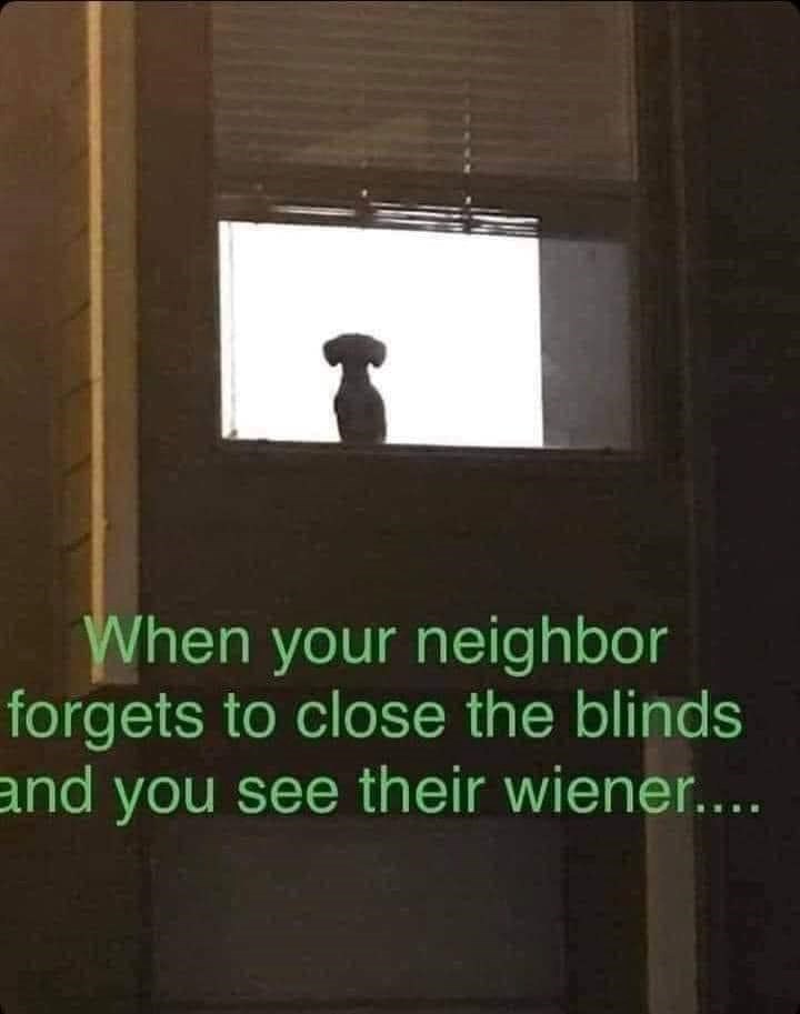 When your neighbor forgets to close the blinds and you see their wiener....