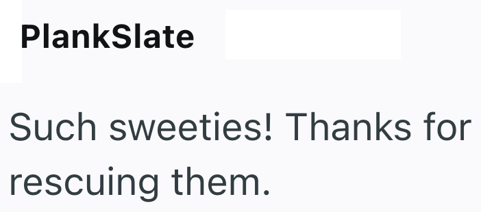 PlankSlate Such sweeties! Thanks for rescuing them.
