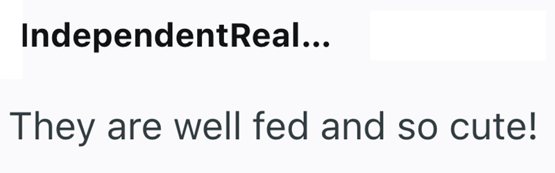 Independent Real... They are well fed and so cute!