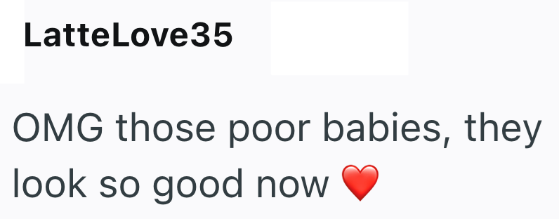 LatteLove35 OMG those poor babies, they look so good now