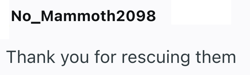 No_Mammoth2098 Thank you for rescuing them