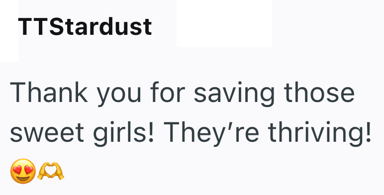 TTStardust Thank you for saving those sweet girls! They're thriving!