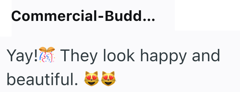 Commercial-Budd... Yay! They look happy and beautiful.
