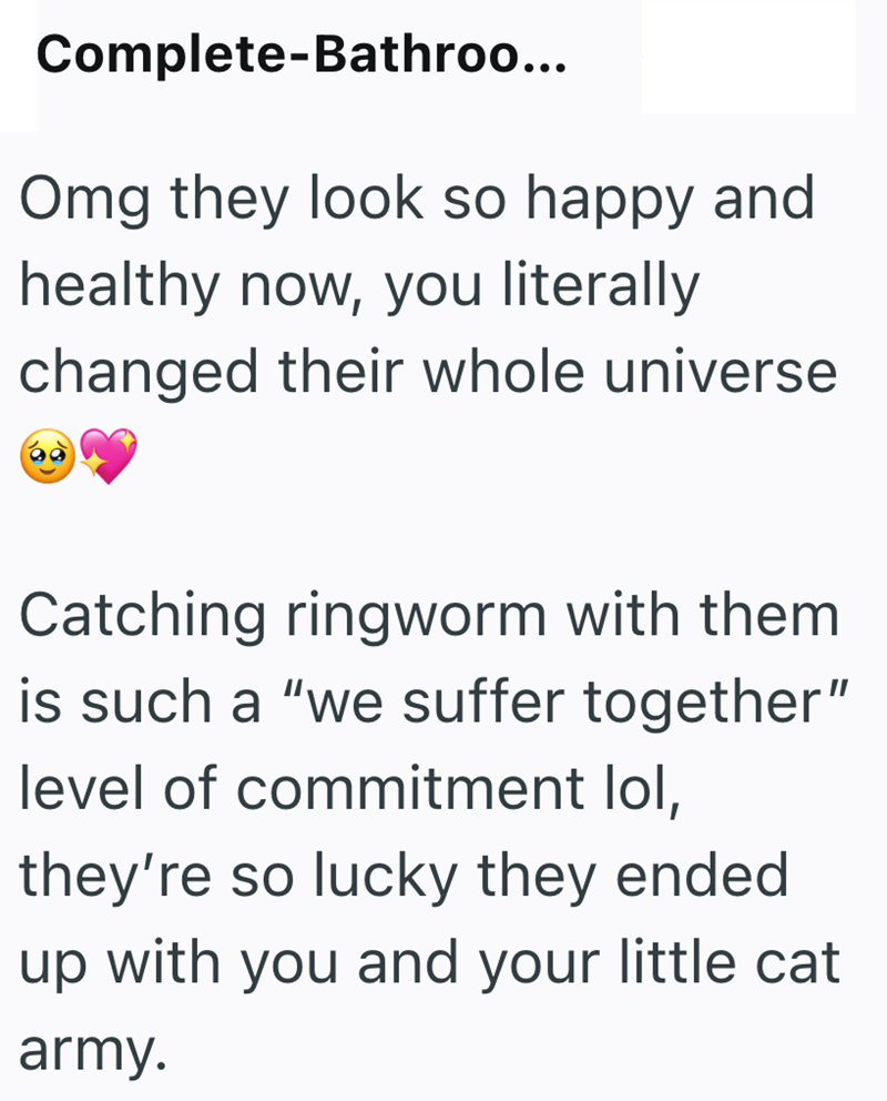 Complete-Bathroo... Omg they look so happy and healthy now, you literally changed their whole universe Catching ringworm with them is such a "we suffer together" level of commitment lol, they're so lucky they ended up with you and your little cat army.