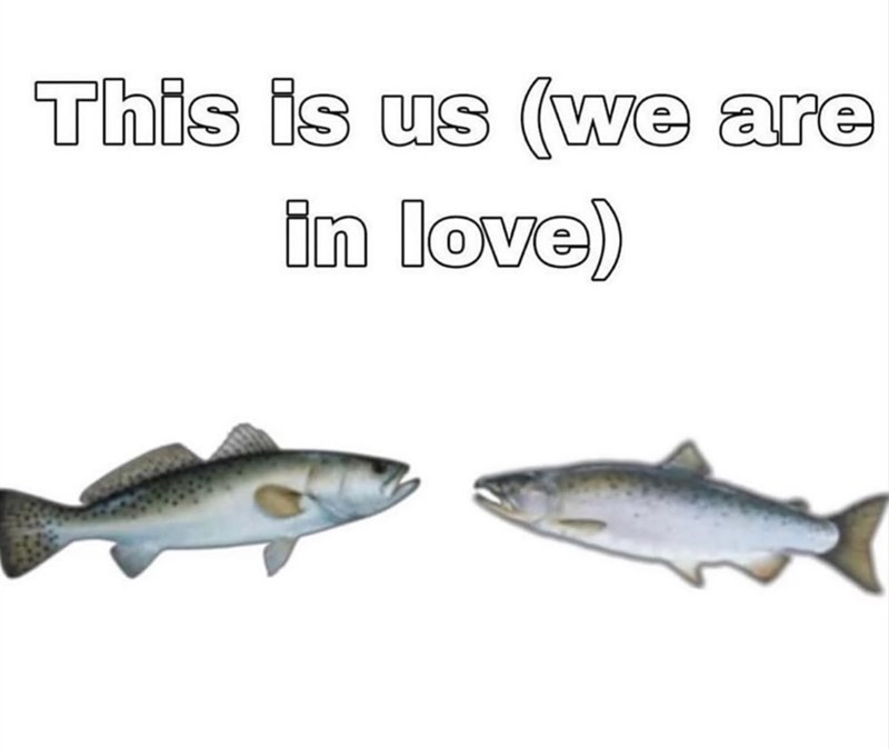 This is us (we are in love)