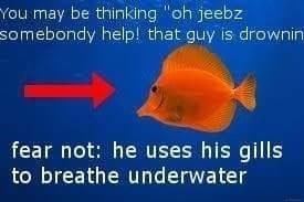 You may be thinking "oh jeebz somebondy help! that guy is drownin fear not: he uses his gills to breathe underwater