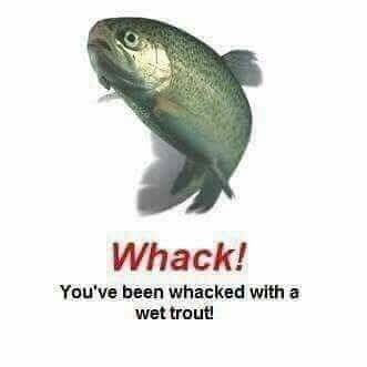 Whack! You've been whacked with a wet trout!