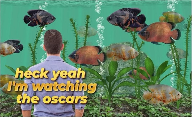 heck yeah I'm watching the oscars