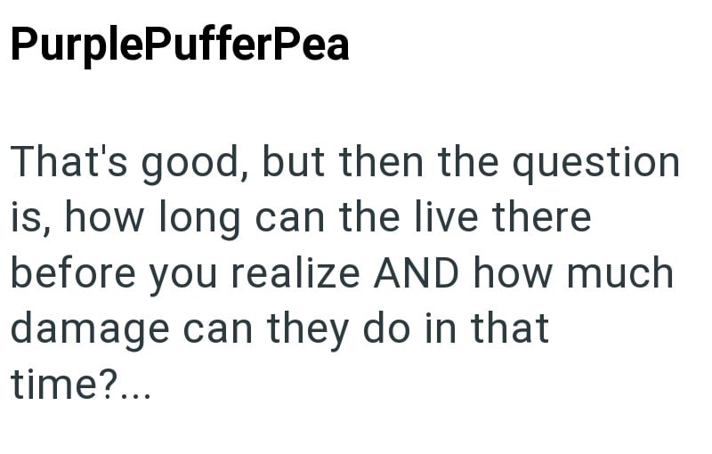 PurplePufferPea That's good, but then the question is, how long can the live there before you realize AND how much damage can they do in that time?...