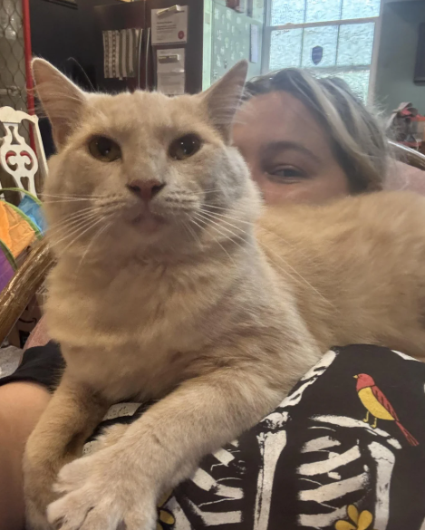 Cheezburger Image 10622686720