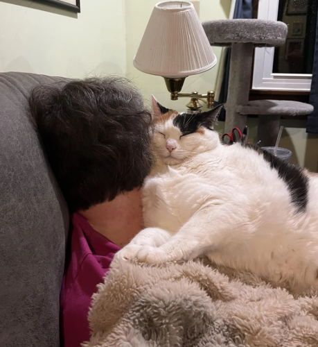 Cheezburger Image 10622687232