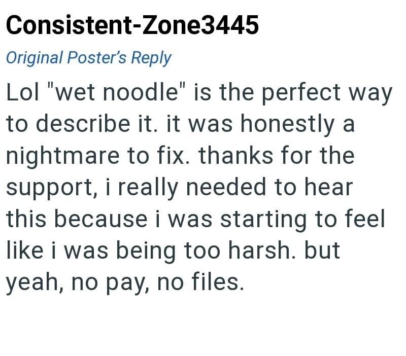 Consistent-Zone3445 Original Poster's Reply Lol "wet noodle" is the perfect way to describe it. it was honestly a nightmare to fix. thanks for the support, i really needed to hear this because i was starting to feel like i was being too harsh. but yeah, no pay, no files.