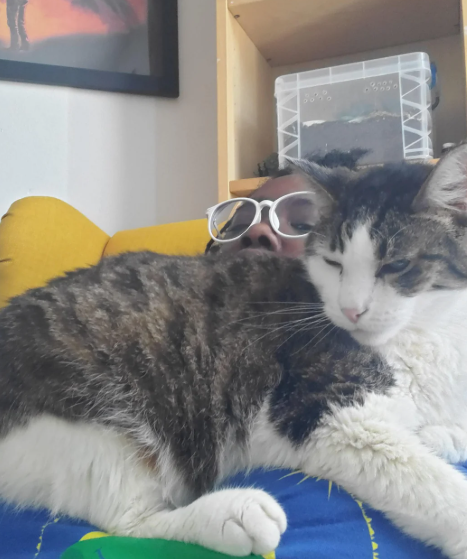 Cheezburger Image 10622696192