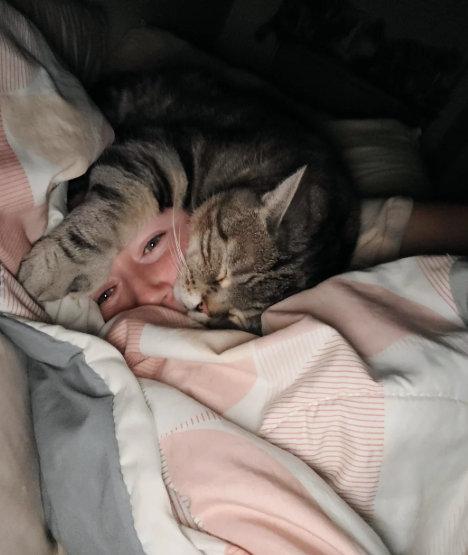 Cheezburger Image 10622706176