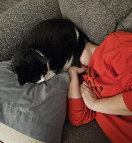 Cheezburger Image 10622706432