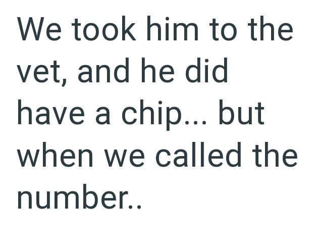We took him to the vet, and he did have a chip... but when we called the number..