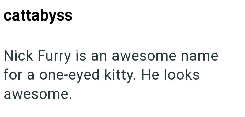 cattabyss Nick Furry is an awesome name for a one-eyed kitty. He looks awesome.