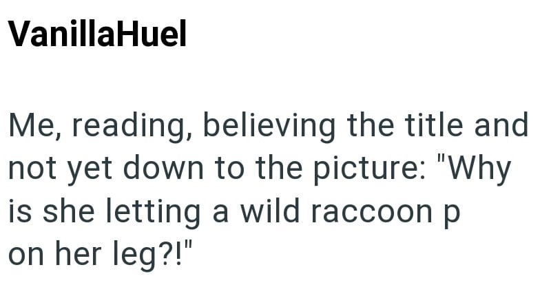 VanillaHuel Me, reading, believing the title and not yet down to the picture: "Why is she letting a wild raccoon p on her leg?!"