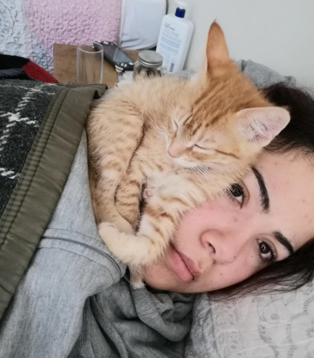 Cheezburger Image 10622712320