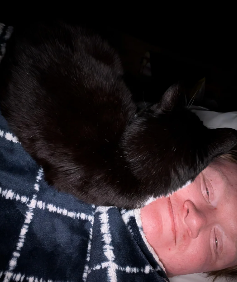 Cheezburger Image 10622713344