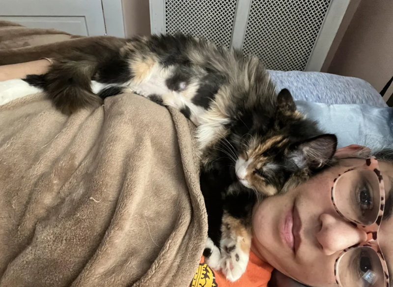 Cheezburger Image 10622713600