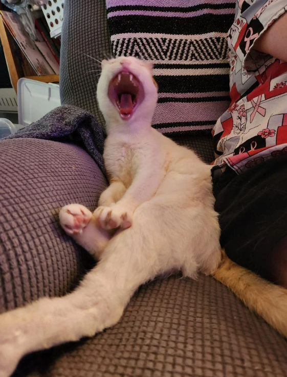 AW