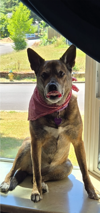LUCY