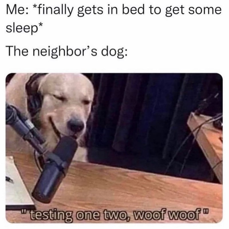 Me: *finally gets in bed to get some sleep* The neighbor's dog: "testing one two, woof woof"