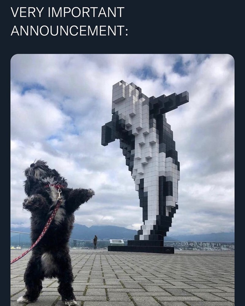 VERY IMPORTANT ANNOUNCEMENT: