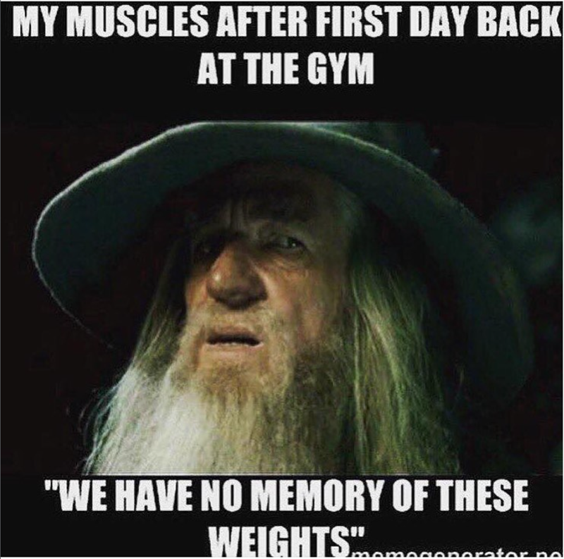 MY MUSCLES AFTER FIRST DAY BACK AT THE GYM "WE HAVE NO MEMORY OF THESE WEIGHTSnerator na