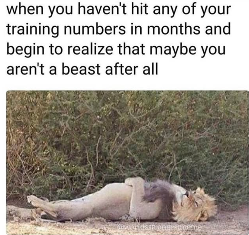 when you haven't hit any of your training numbers in months and begin to realize that maybe you aren't a beast after all @worldsstrongestineme