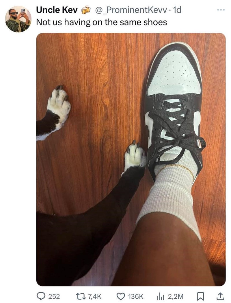 Uncle Kev @_ProminentKevv. 1d 000 Not us having on the same shoes о 252 17,4K 136K lil 2,2M ☐ 1