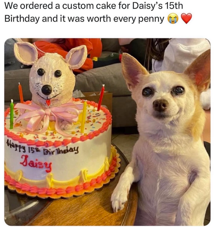 We ordered a custom cake for Daisy's 15th Birthday and it was worth every penny Happy 15 Birthday Jaisy