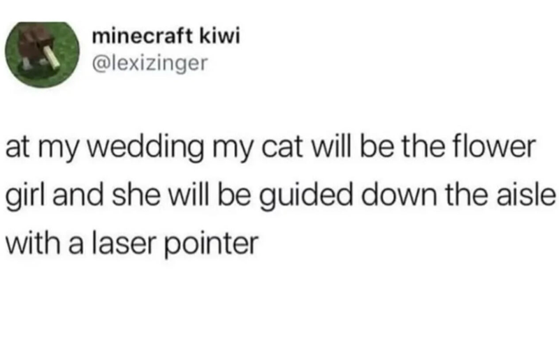 minecraft kiwi @lexizinger at my wedding my cat will be the flower girl and she will be guided down the aisle with a laser pointer