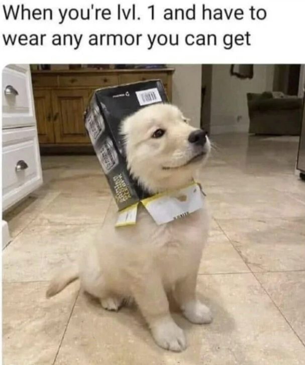 When you're lvl. 1 and have to wear any armor you can get