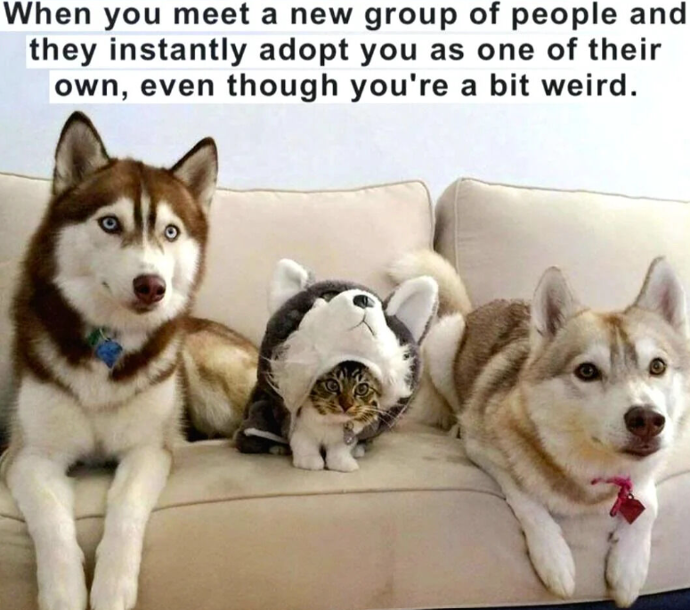When you meet a new group of people and they instantly adopt you as one of their own, even though you're a bit weird.