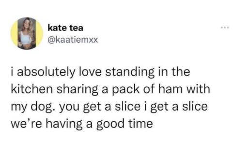 kate tea @kaatiemxx i absolutely love standing in the kitchen sharing a pack of ham with my dog. you get a slice i get a slice we're having a good time www