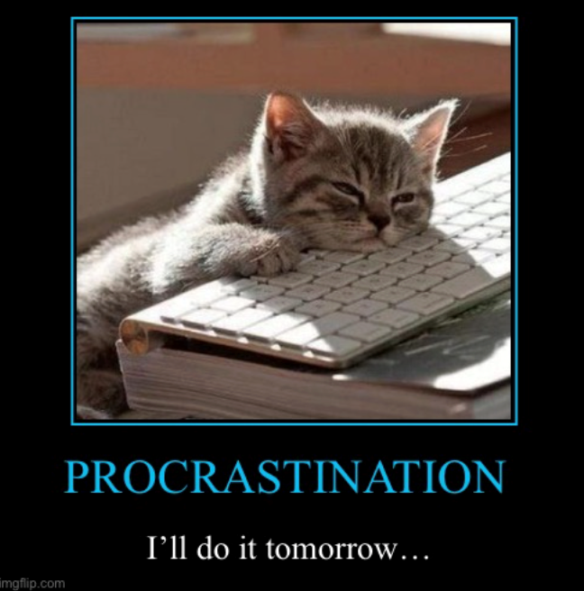 imgflip.com PROCRASTINATION I'll do it tomorrow...
