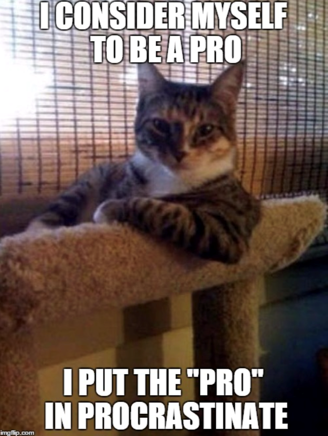 I CONSIDER MYSELF TO BE A PRO imgflip.com I PUT THE "PRO" IN PROCRASTINATE