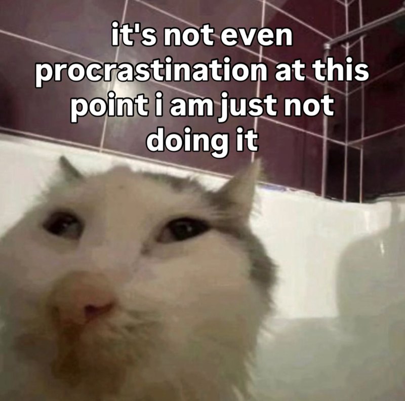 it's not even procrastination at this point i am just not doing it